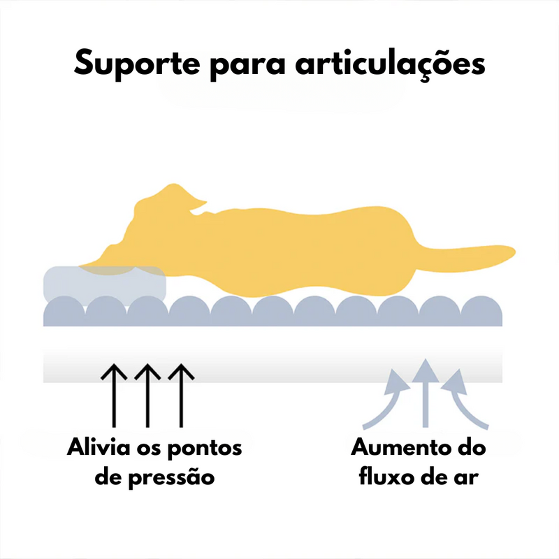 Sofá Cama Pet - Ortopédico + Escadinha e Pelúcia de Brinde